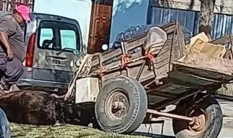 WhatsApp Image 2025-06-02 at 5.35.26 PM