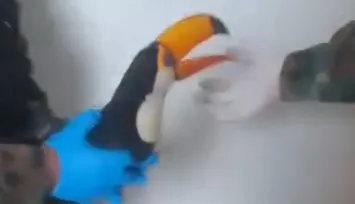 WhatsApp Image 2025-07-24 at 09.33.12