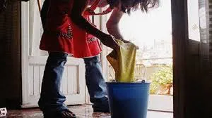 domesticas
