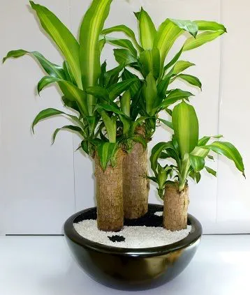 2fe45cb146480601cfea1780fb213b60