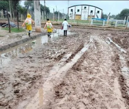 WhatsApp Image 2025-05-10 at 12.45.33 PM