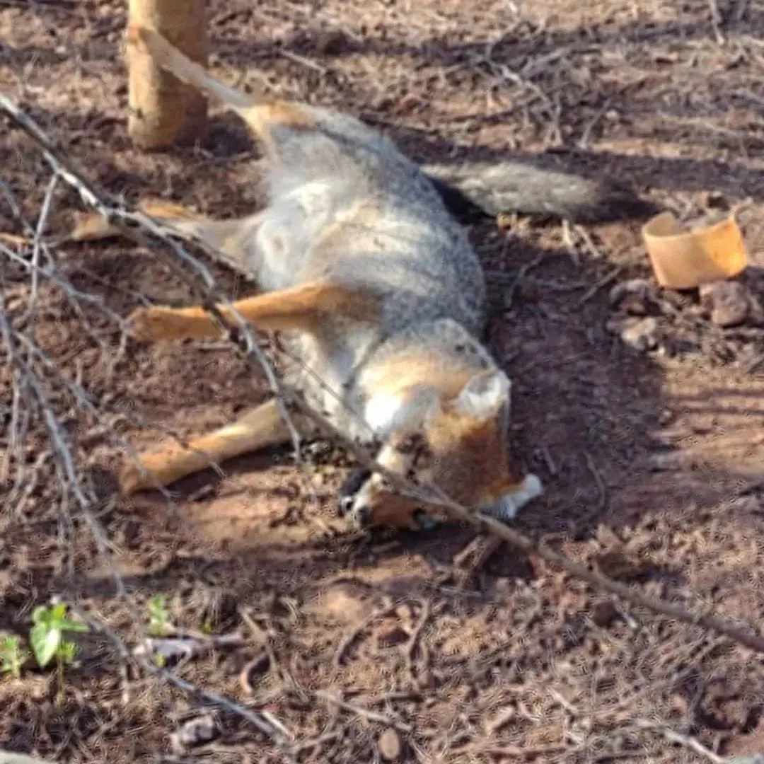 WhatsApp Image 2025-05-26 at 4.55.10 PM