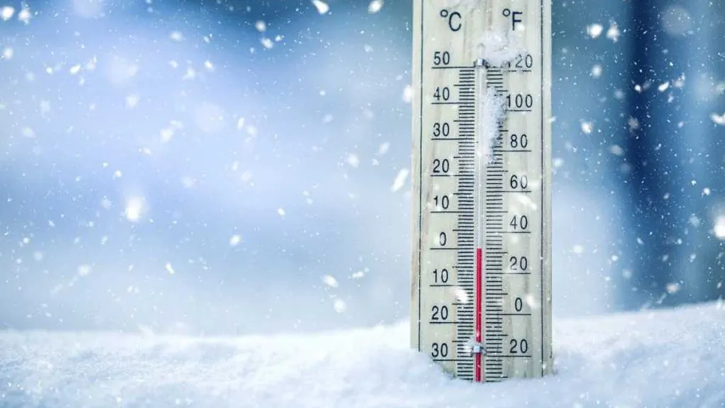 termo frio