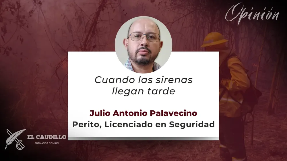 Opinión - Julio Palavecino (18)