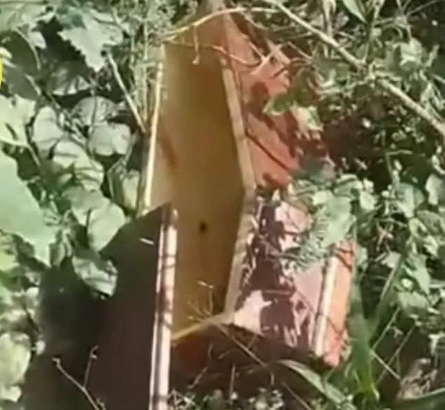 WhatsApp Image 2025-06-10 at 11.27.32 AM