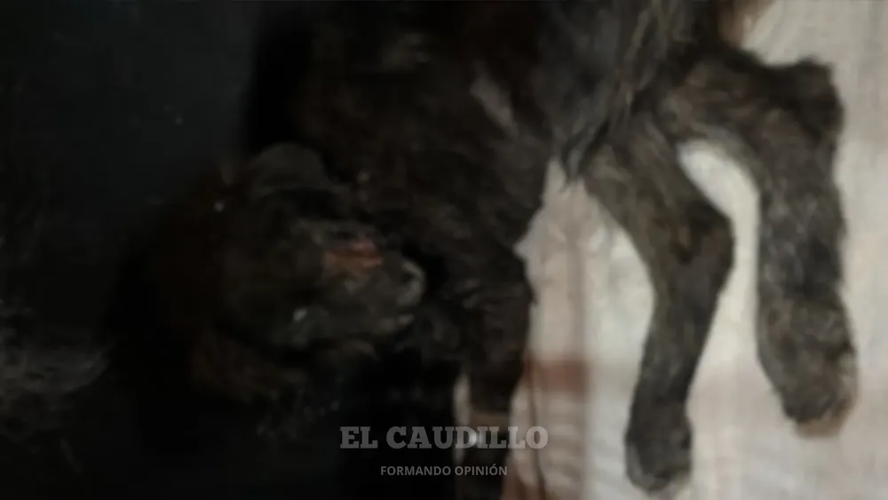 imagen portada - 2026-02-09T094029.884