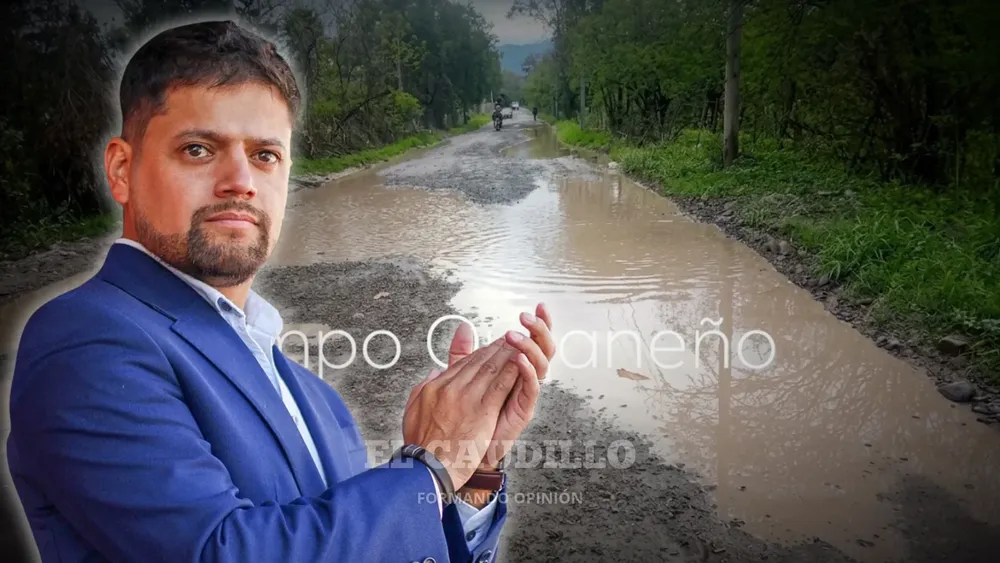imagen portada (34)