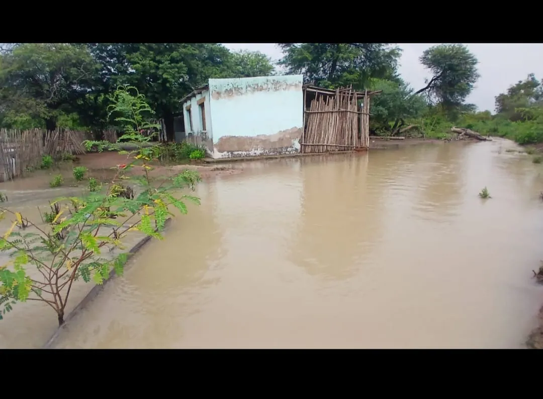 WhatsApp Image 2025-03-23 at 11.37.56 PM