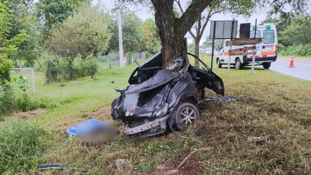 imagen portada - 2025-03-31T111651.477