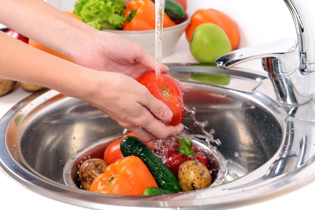 alimentos1-jpg