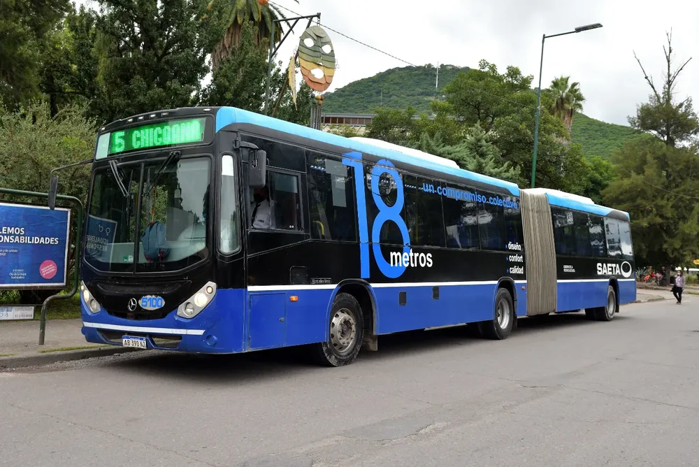 articulado