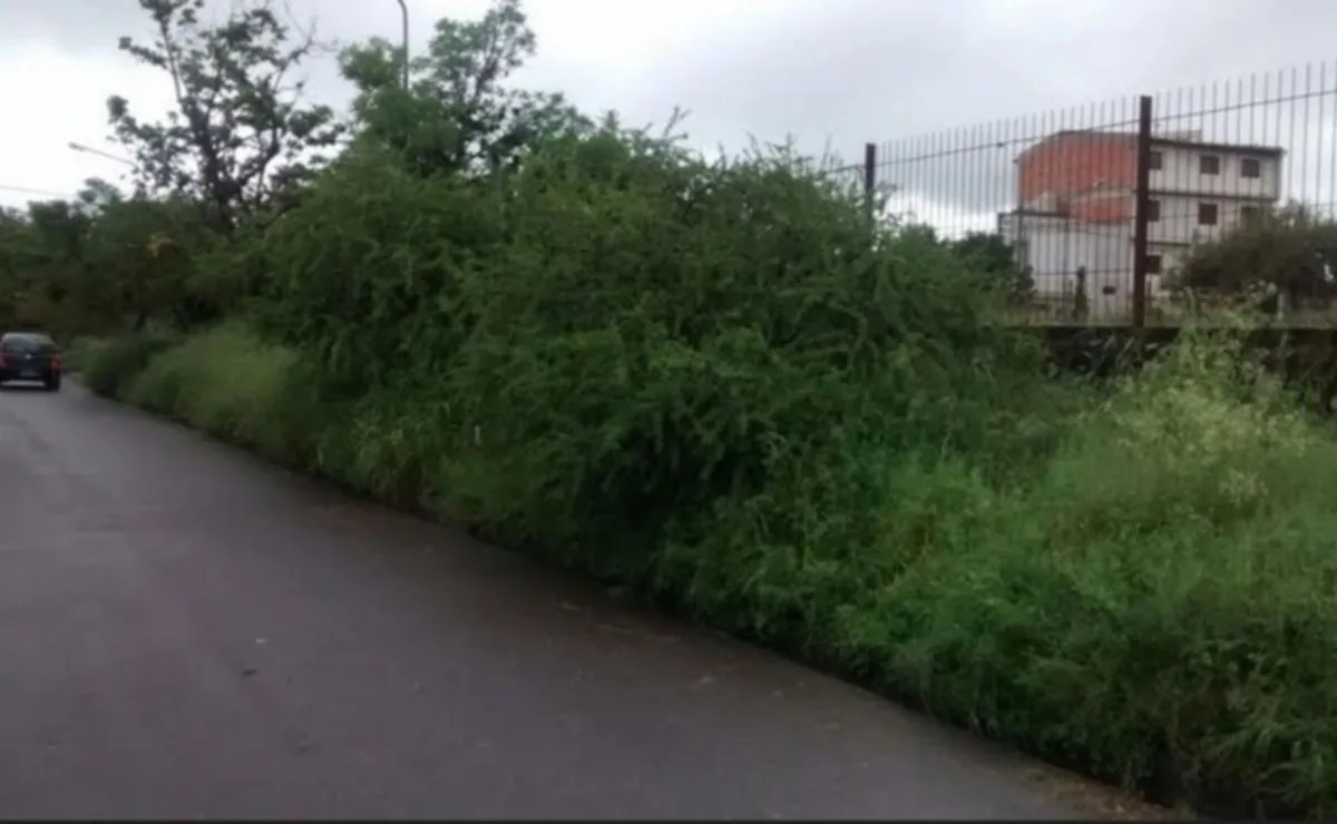 EET CIUDAD DEL MILAGRO