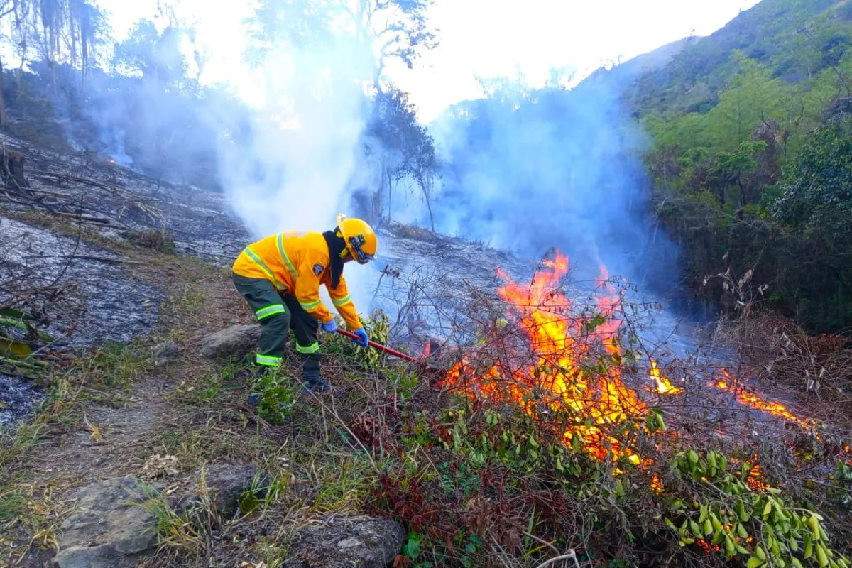 incendios forestales