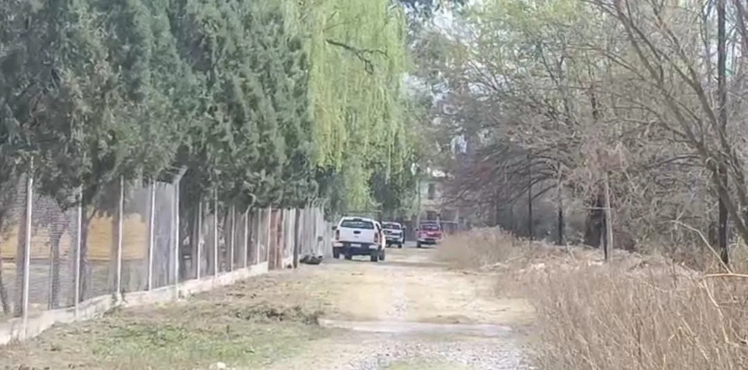 WhatsApp Image 2025-09-06 at 11.24.34