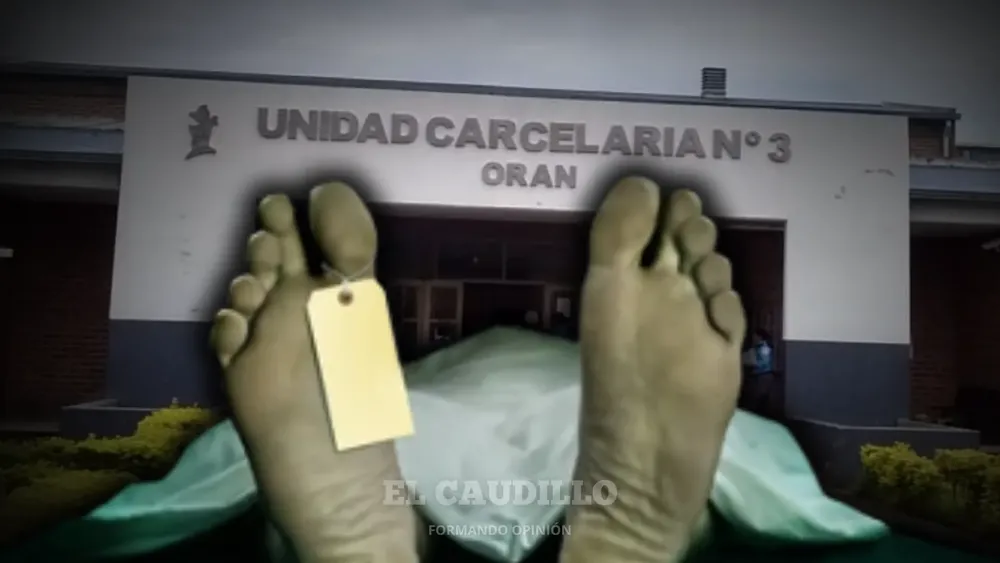 imagen portada - 2026-02-11T130435.799