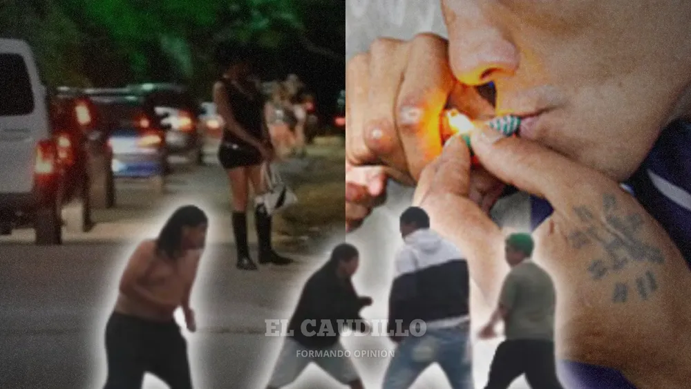 imagen portada - 2026-01-23T113721.489