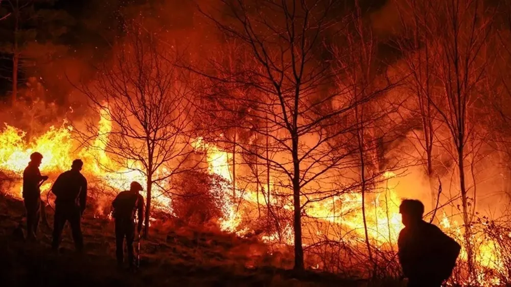 incendios-forestales-EFE_2024-12-12-145408_hlvv