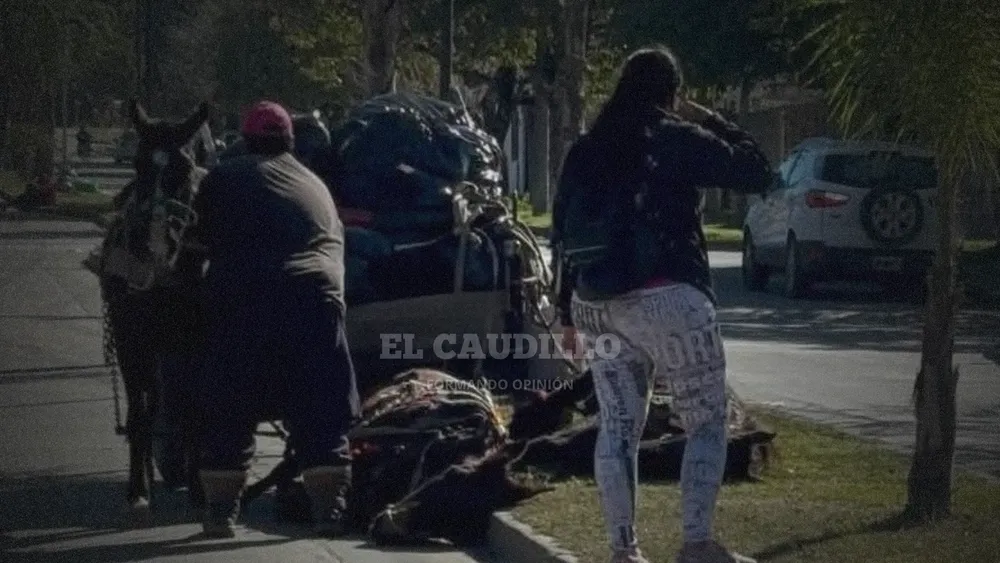 imagen portada - 2025-06-02T174730.065