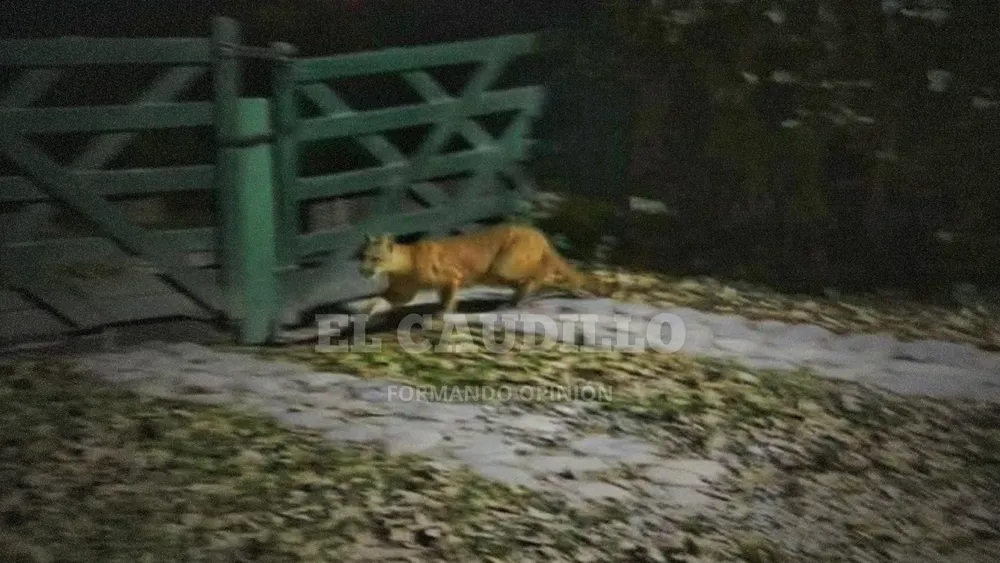 imagen portada - 2025-06-15T121654.327