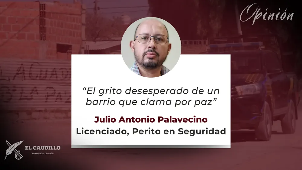 Opinión - Julio Palavecino (2)