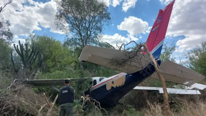 avionetcocai-696x392