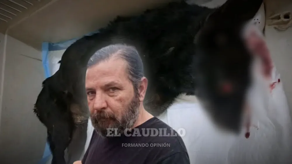 imagen portada (74)