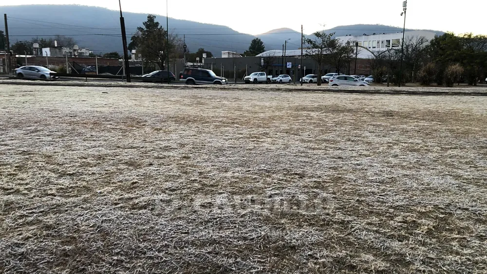 imagen portada - 2025-06-24T083418.428