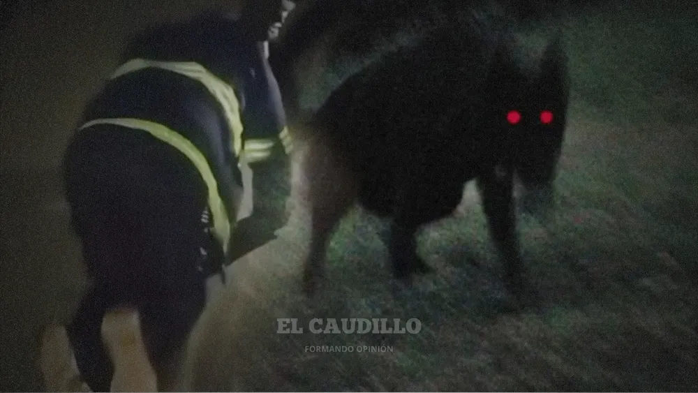 imagen portada - 2025-05-30T172052.731