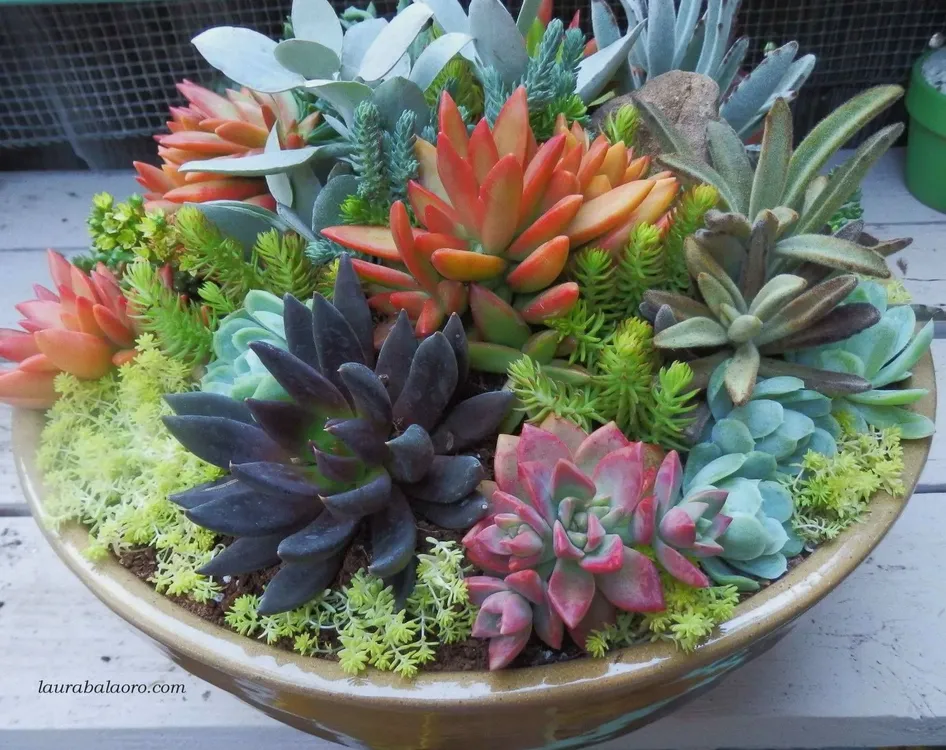 30cb61b38d8c8a142d15e9dab42419bf