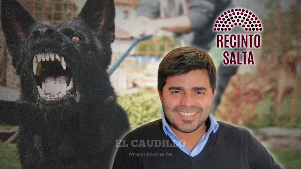 imagen portada (51)