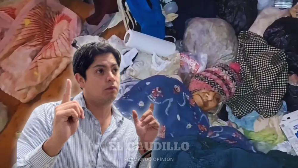 imagen portada (18)