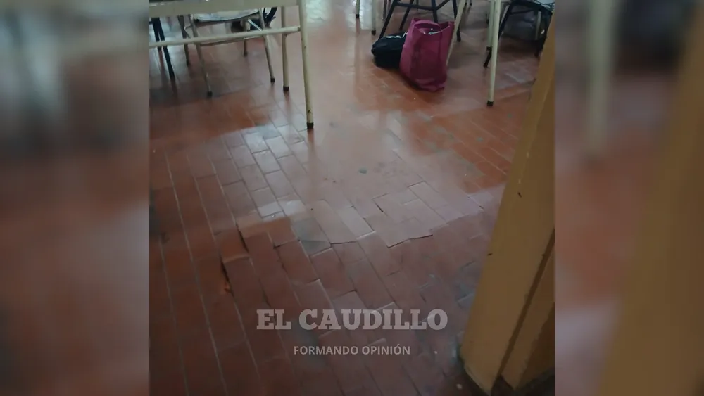 imagen portada (61)