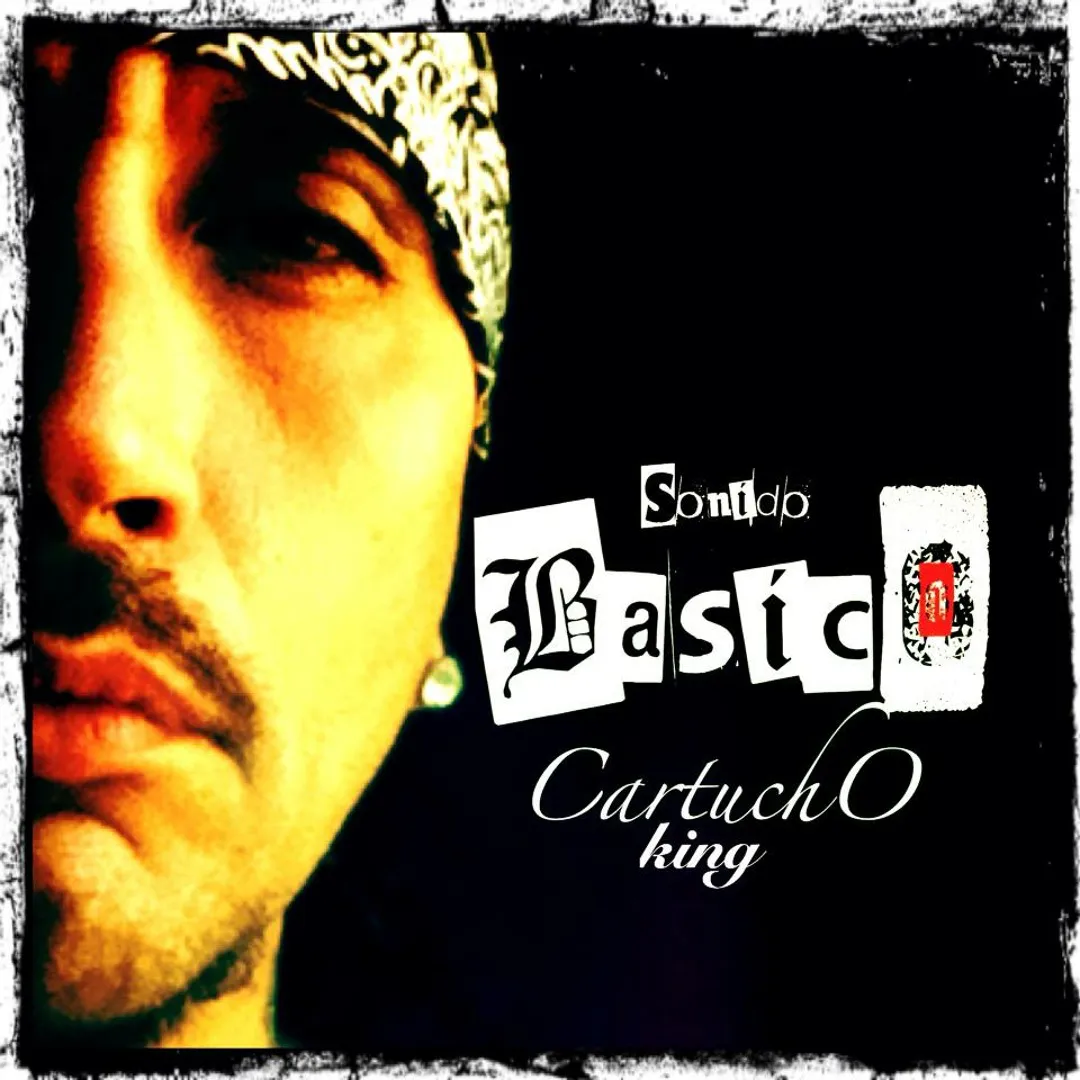 cartucho