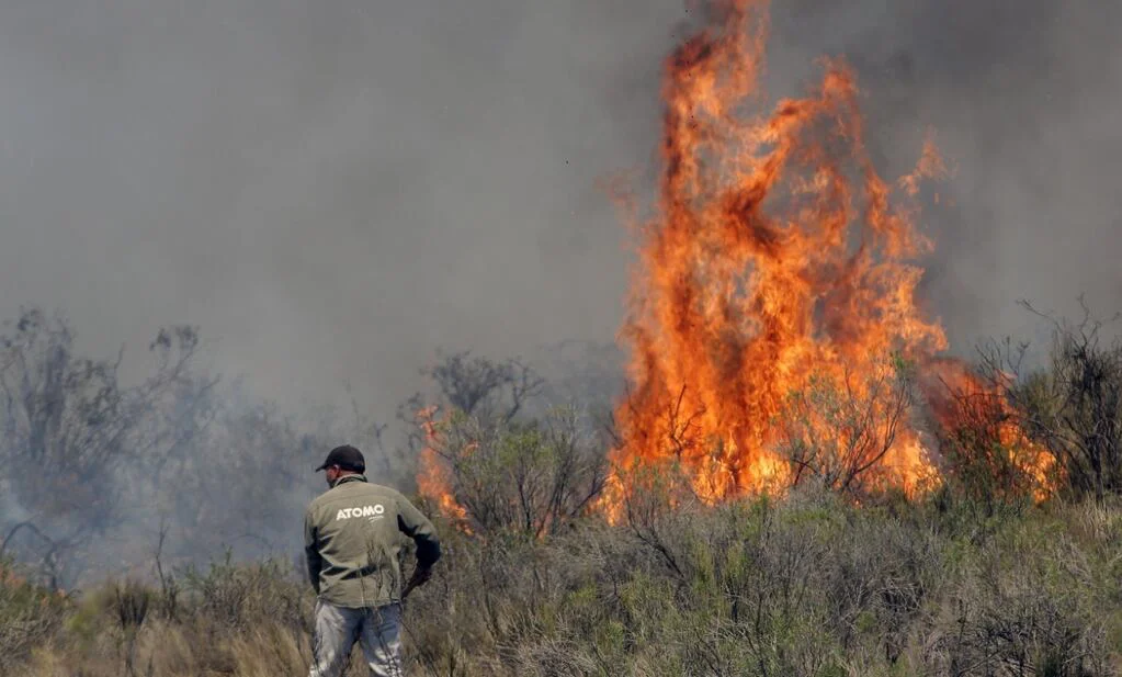 los-incendios-provocados-por-el-viento-zonda-en-mendoza-fueron-controlados-este-lunes-por-los-bomberos-foto-prensa-de-gobierno-de-mendoza-4F7XW7BSNNHXNHFBJL4GCAMAVM
