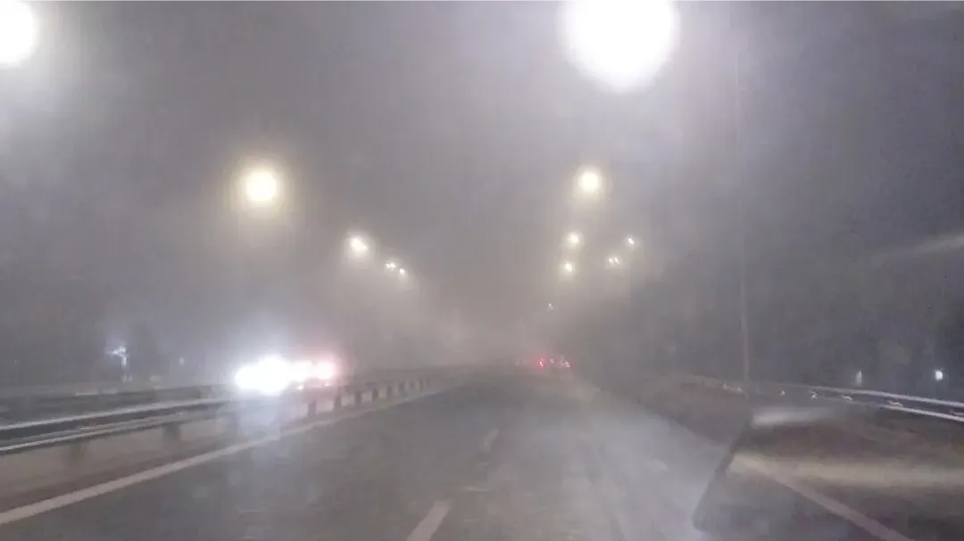 524128073_24452061327745025_5032838195323203463_n