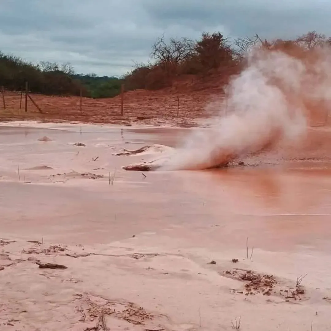 WhatsApp Image 2025-05-26 at 4.55.10 PM (1)