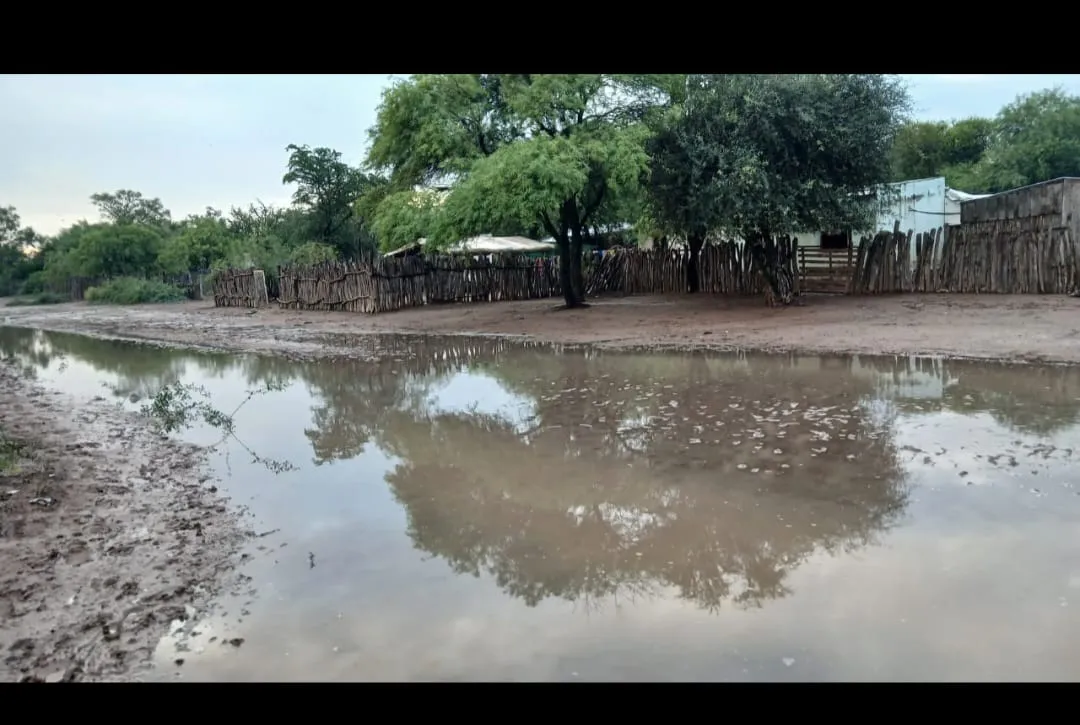 WhatsApp Image 2025-03-23 at 11.37.56 PM (1)