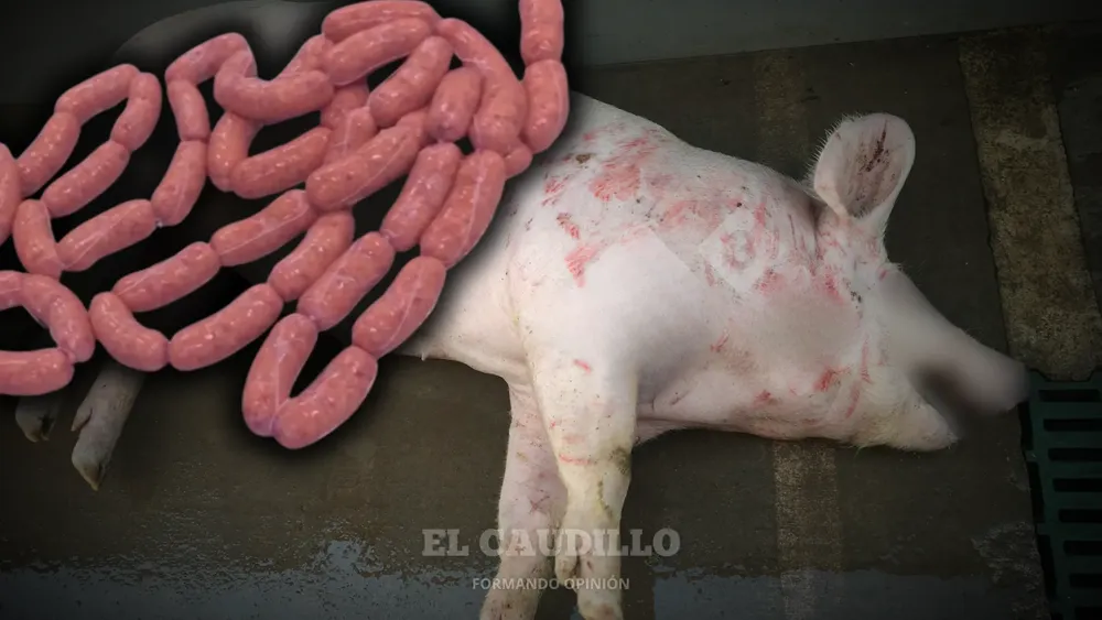 imagen portada - 2026-02-09T111539.785