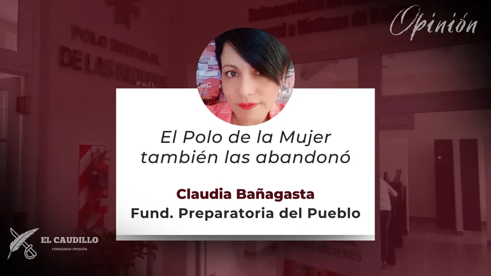 Opinión - Julio Palavecino (14)