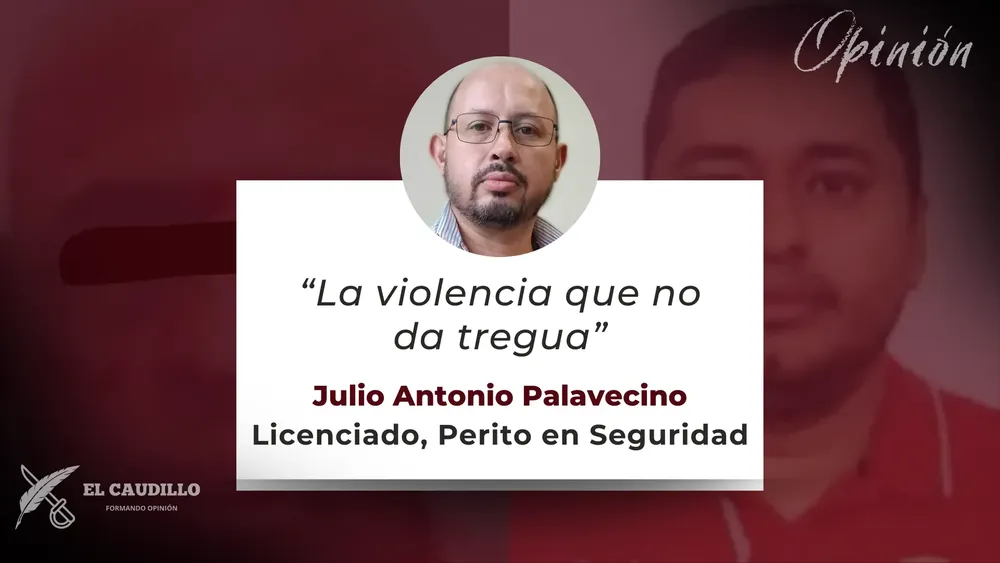 Opinión - Julio Palavecino (1)