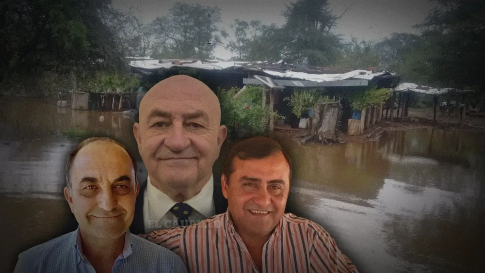 imagen portada - 2025-03-25T130903.783