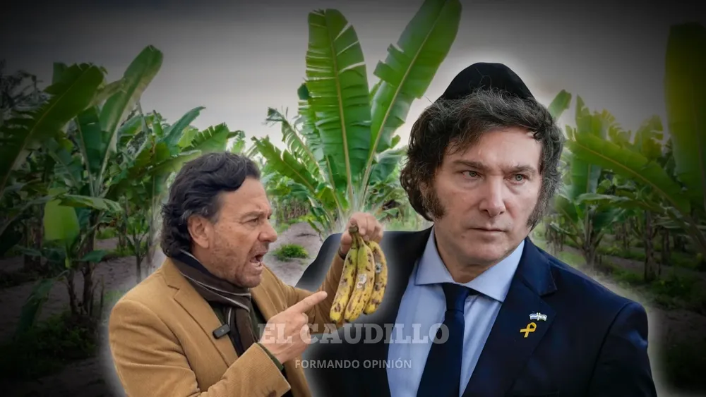 imagen portada - 2026-07-27T083448.441