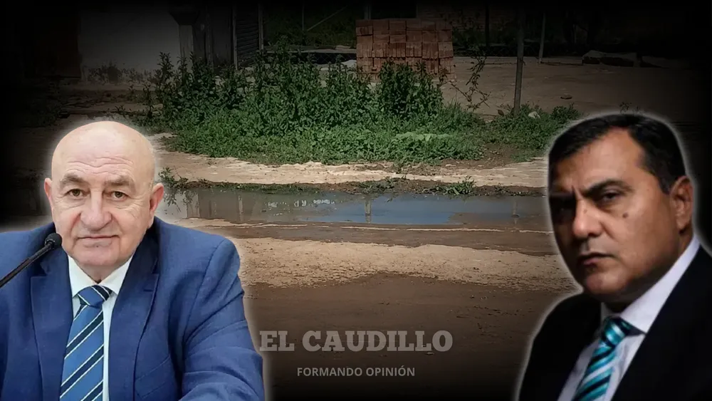 imagen portada (42)
