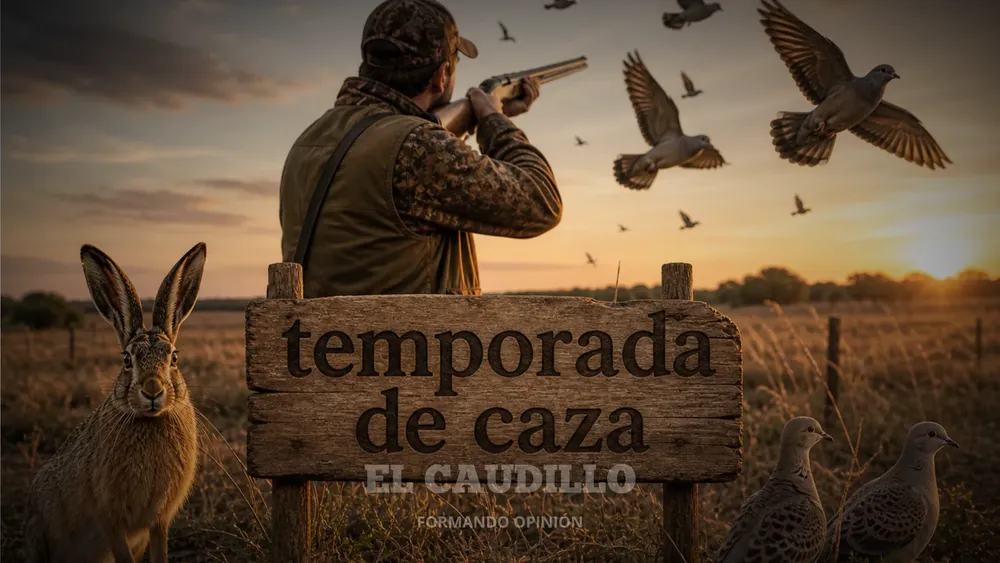 imagen portada (30)