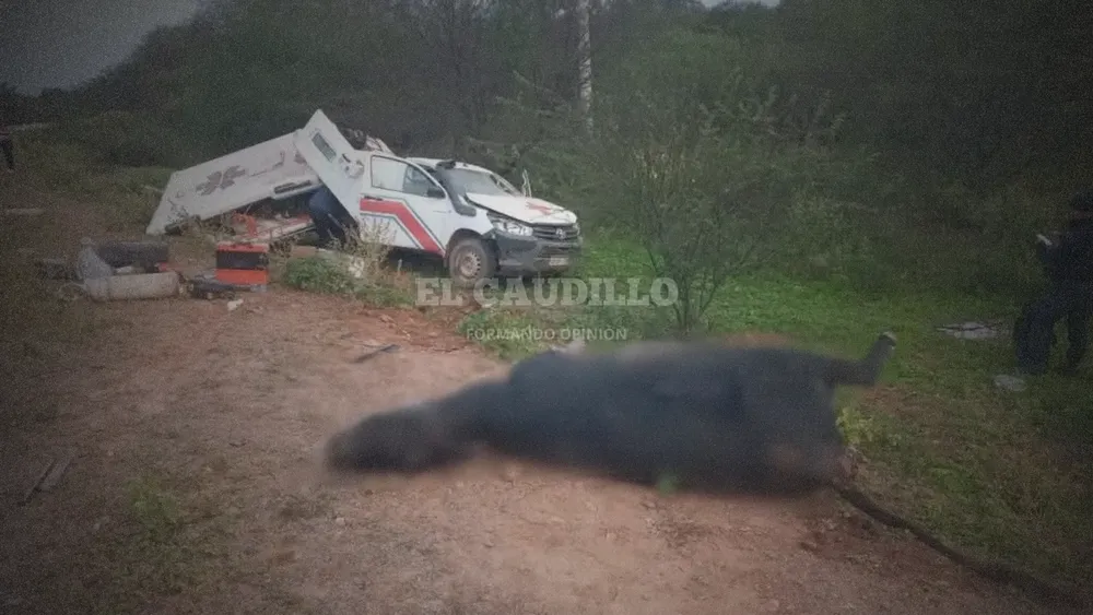 imagen portada - 2025-06-02T105541.427