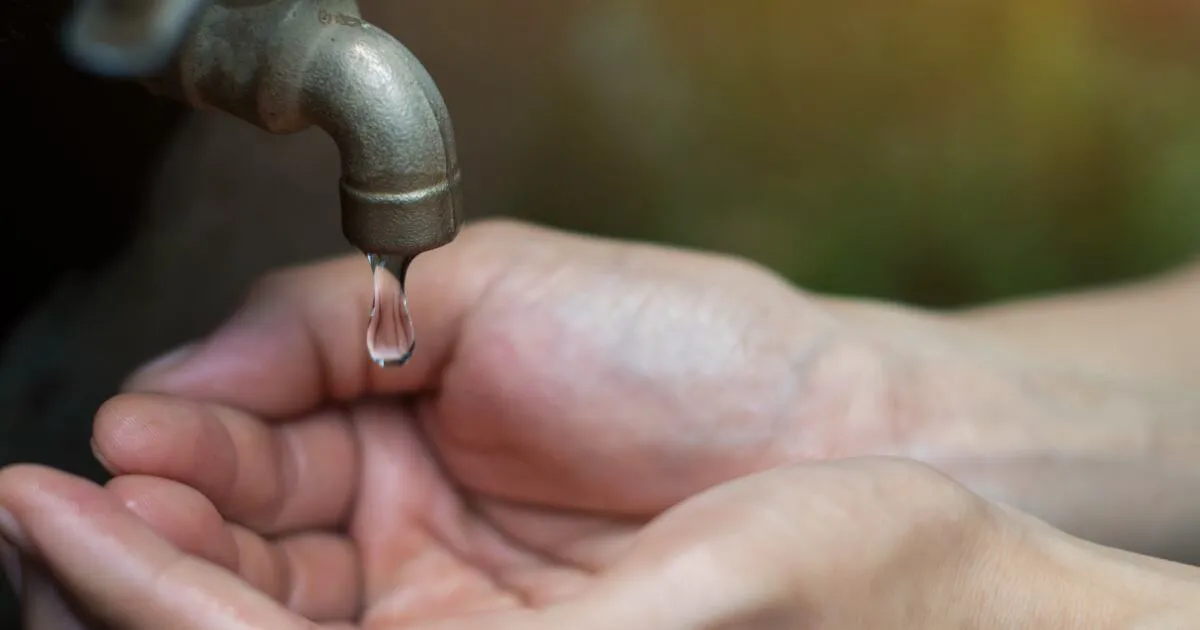 agua de grifo