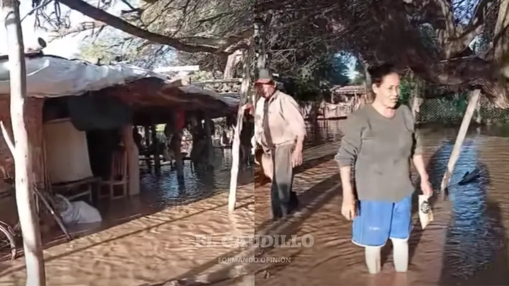 imagen portada - 2026-01-22T185243.623