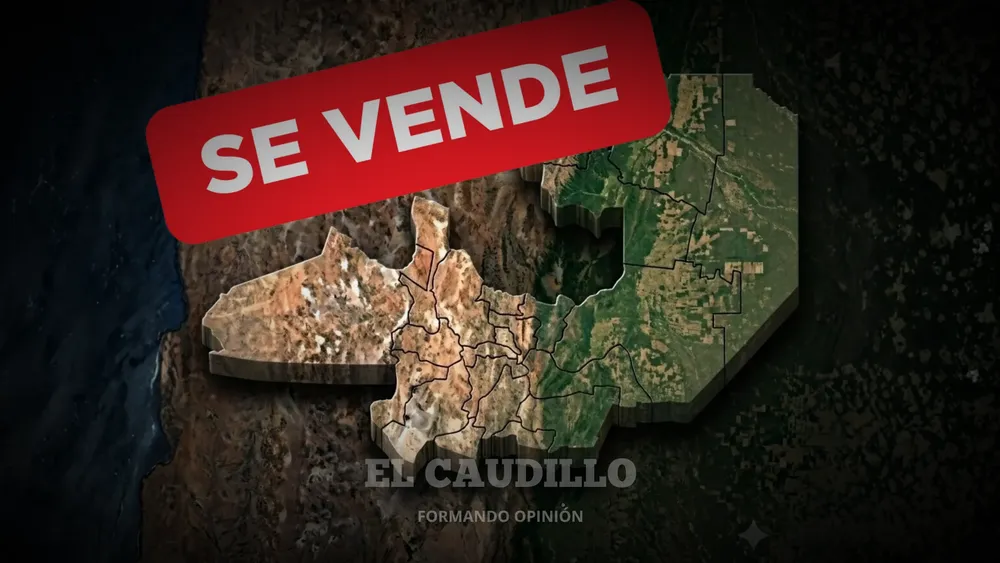 imagen portada - 2026-07-30T201828.798