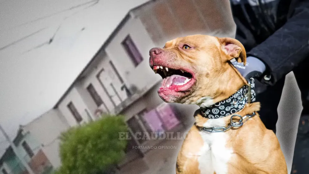 imagen portada - 2025-12-08T125218.777